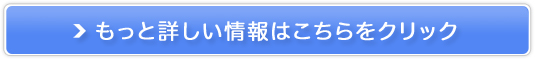 XEF[fEvyFOREOitHIjz̔TCg